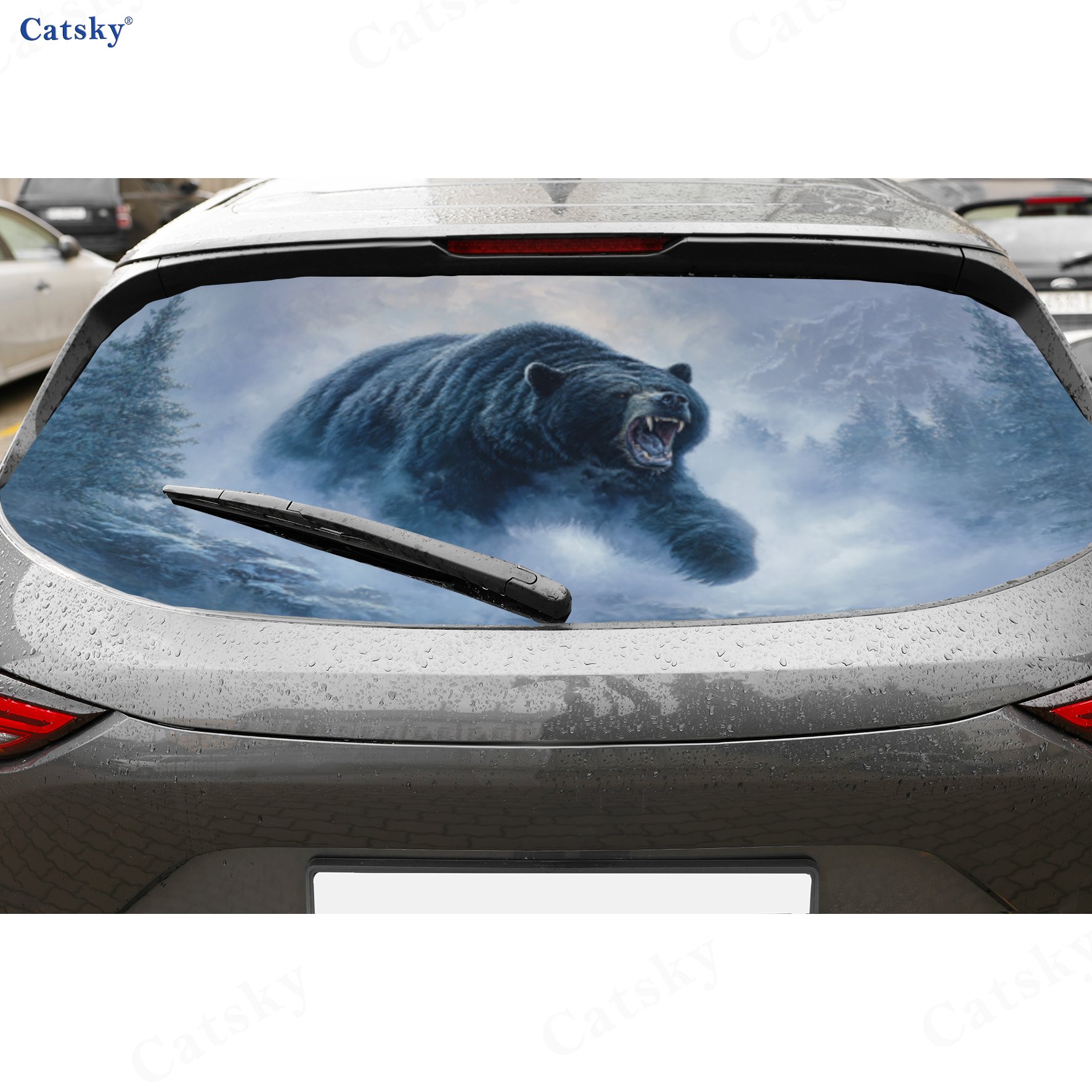 Outdoor Adventure Angry Bear P - Outdoor Adventure Films 评论和价格