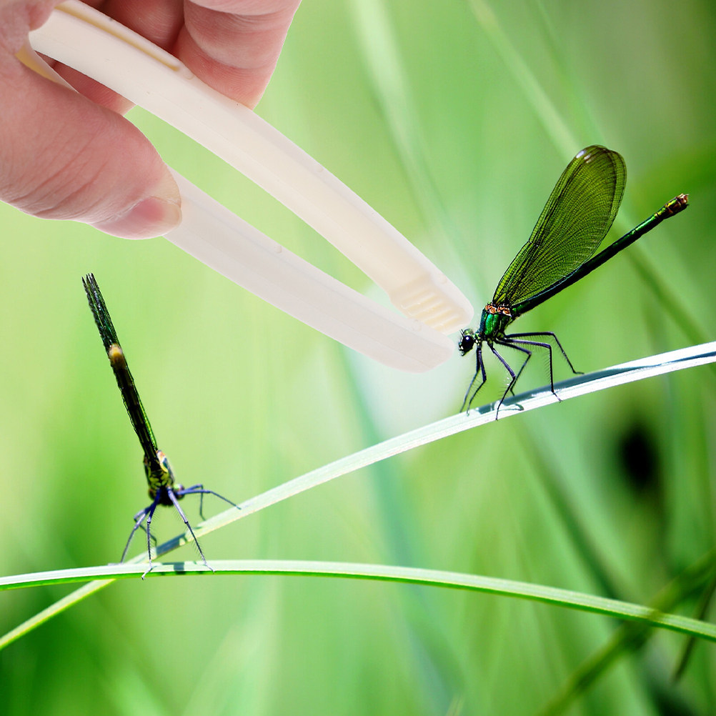 24Pcs Flat Head Tweezers for K - Outdoor Adventure For Toddlers 评论和价格